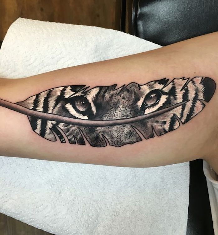 tatuagem de tigre, braço, tatuagem de braço, pena, olhos de tigre, olhos