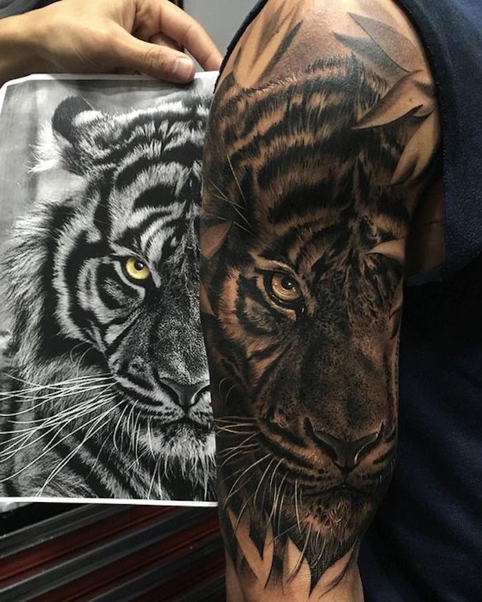 tatuagem de tigre, desenho preto e branco, tatuagem de braço, tatuagem