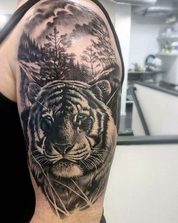 tatuagem de tigre, homem, parte superior do braço, tatuagem do braço superior, floresta