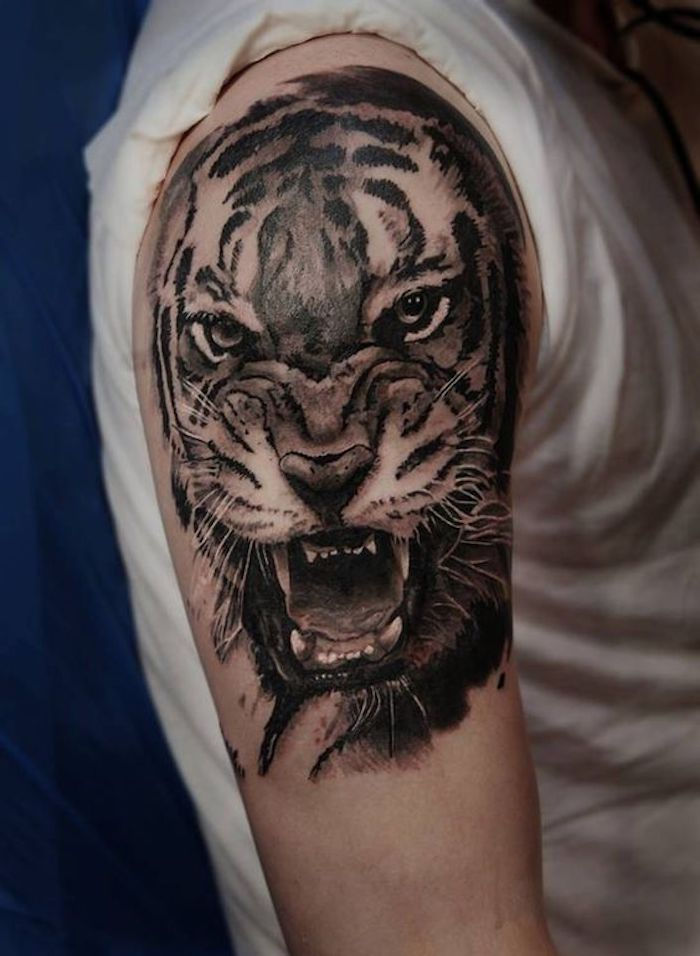 tatuagem de tigre, homem, parte superior do braço, tatuagem de braço superior, t-shirt branca