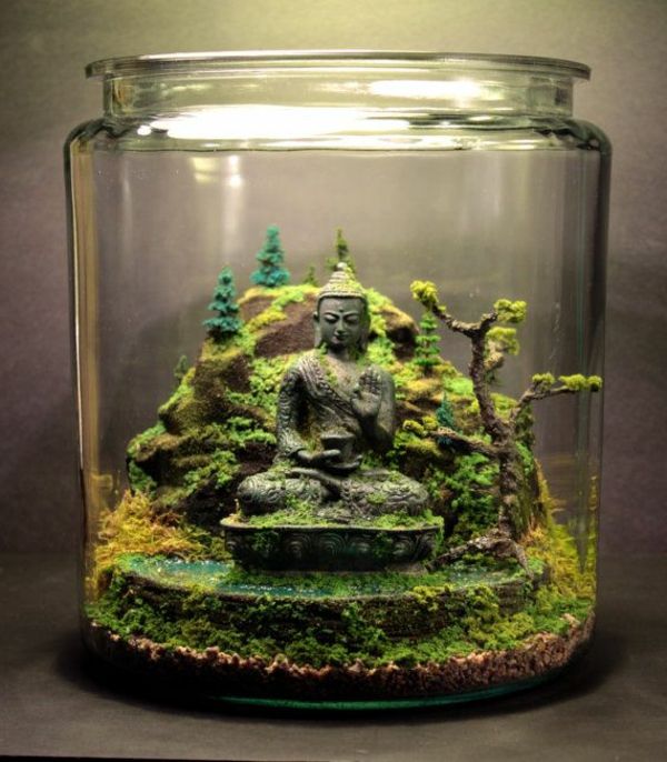 statuie buddha într-un terariu frumos