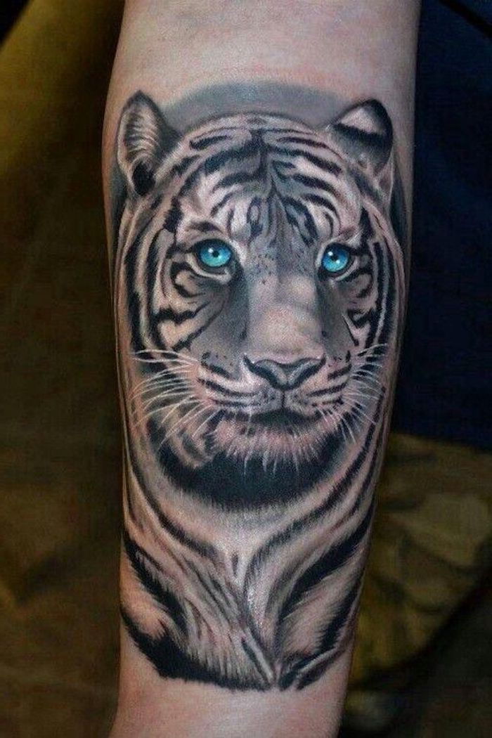 tiger tetovanie hlavy, biely tiger s modrými očami, tetovanie v čiernej a bielej
