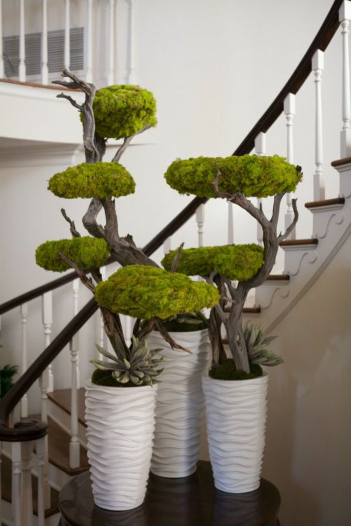 Dekoratívne strop s-machom bonsei stromov-s-moss-