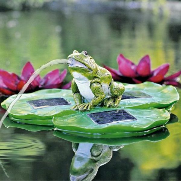 Žaba iz-samega stanja vodnjak na vrtu
