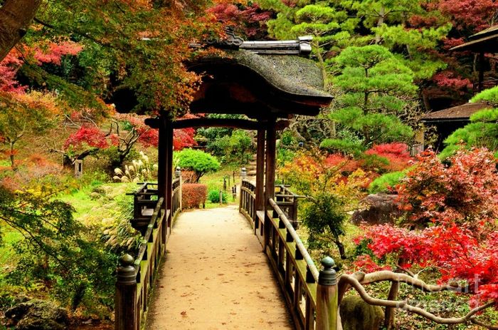 Záhrada Bridge-japonskej exotické