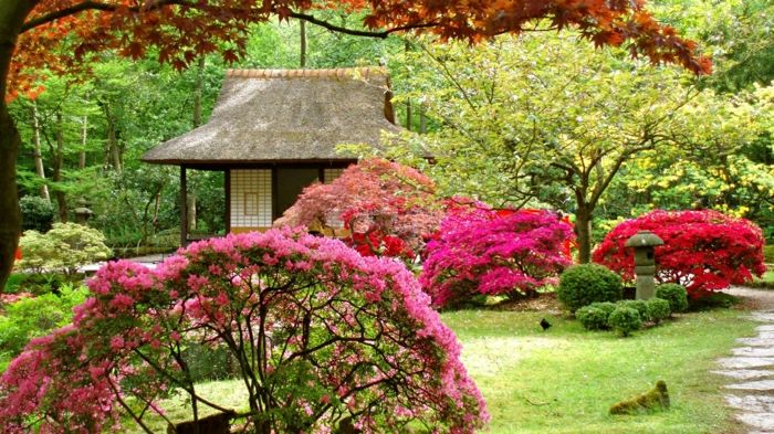 Hage Spring Vakker Blossom japansk hus