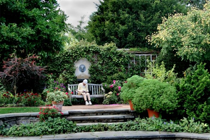 Jardim-wide Park-espaciais-mato Flor maravilhosamente-Inglês-britânicas