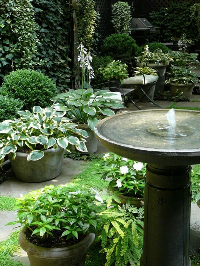 Sodo augalų vazonuose vandens fontanas