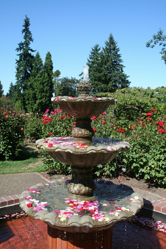 Sodo vandens fontanas rožių žiedlapių aristokratų