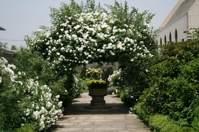 Jardim Rosa branca de metal arco-aristocrática britânica