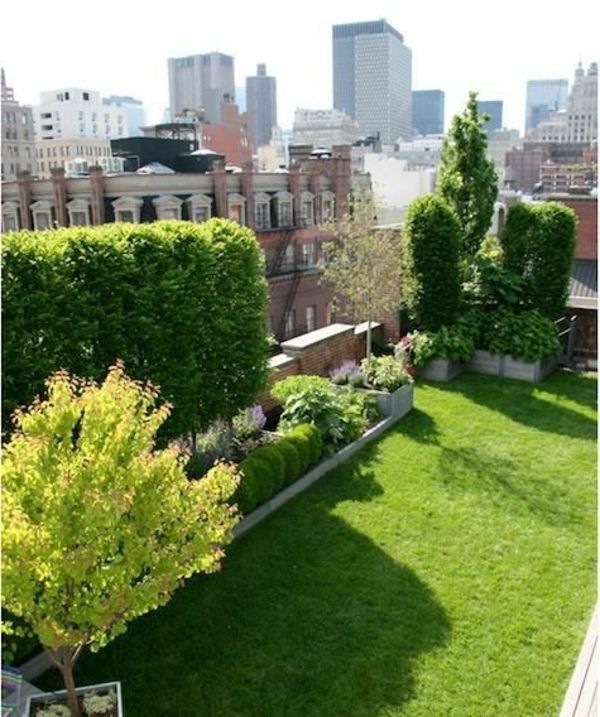 Záhradná terasa s trávou a stromami