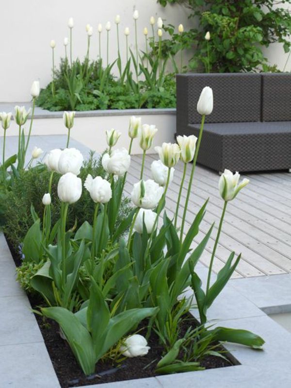 Záhradná terasa s bielym tulipán nápadom