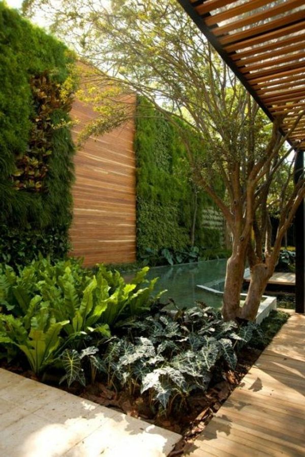 Recinto del giardino di legno con piante rampicanti Idea