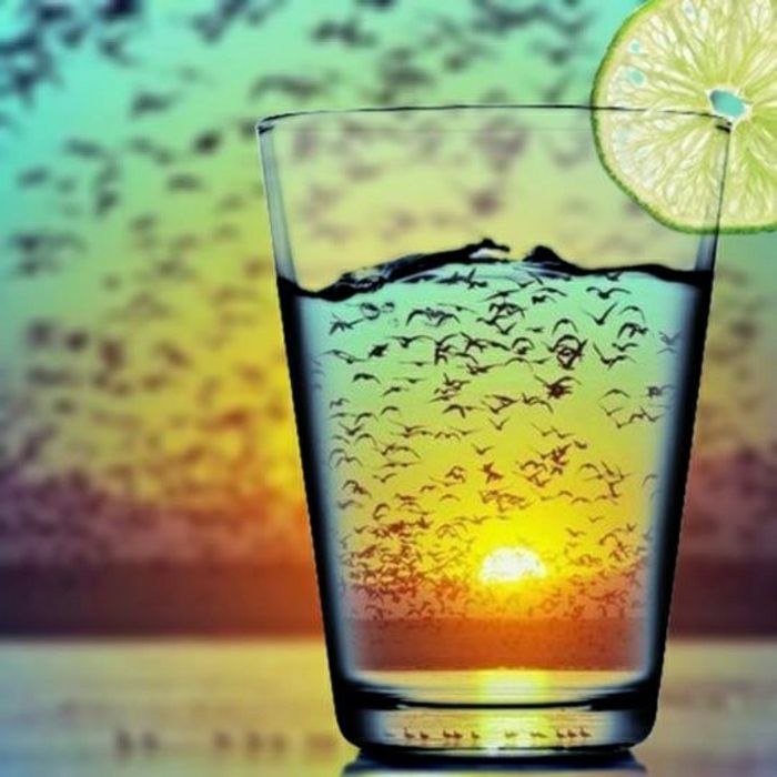 imagens frescas bebida de limão bando de pássaros do por do sol