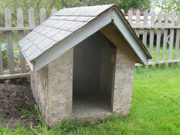 Hut-by-the-dog-to-it-yourself