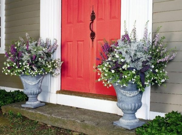 Fikirler-için-Çiçek küvet zarif stili mor renkli-kırmızı kapı