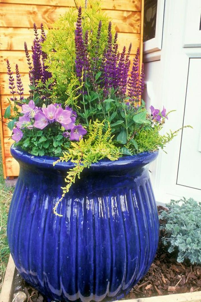Keramika v poľnohospodárstve a modrá kvetináč fialové kvety
