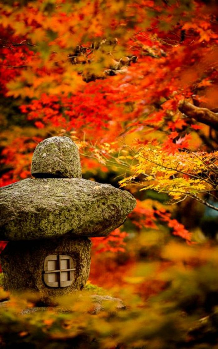 Kyoto Japan Zen záhrada listy kamenná lucerna