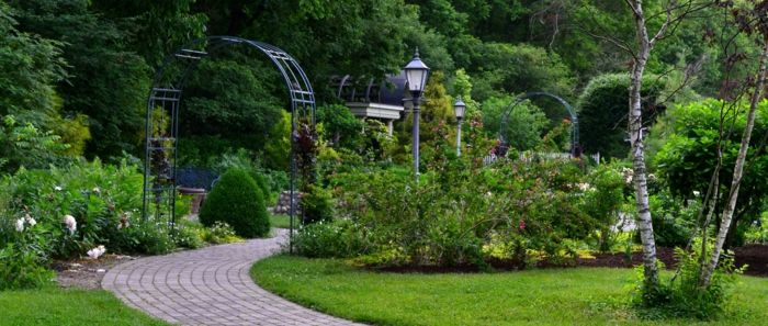 arbustos Park Garden anglo-britânico-verdes vidoeiro folhas lâmpadas de metal rua