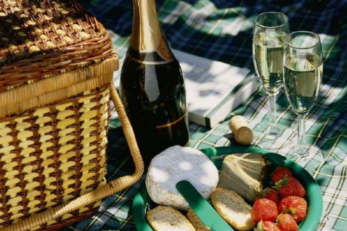 Piknik i det fri-musserende vin og frukt