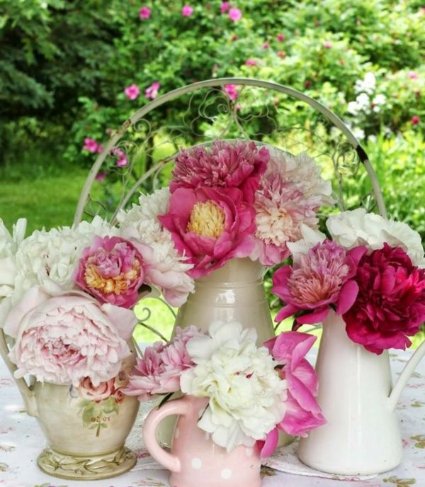 stalo cut-gėlės-bijūnų prašmatnus stilingas sodas