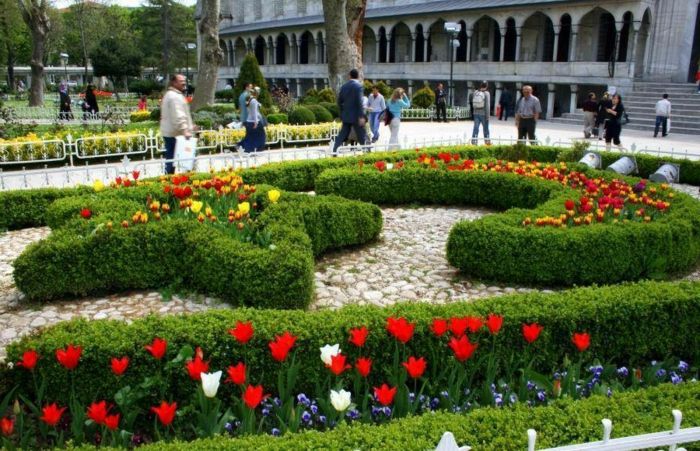 Atrakcie Istanbul-tulipány
