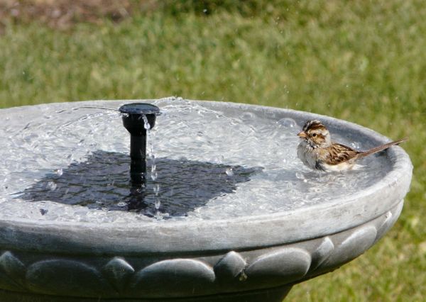 Vodnjak sončne birdbath-Garden solarno črpalko