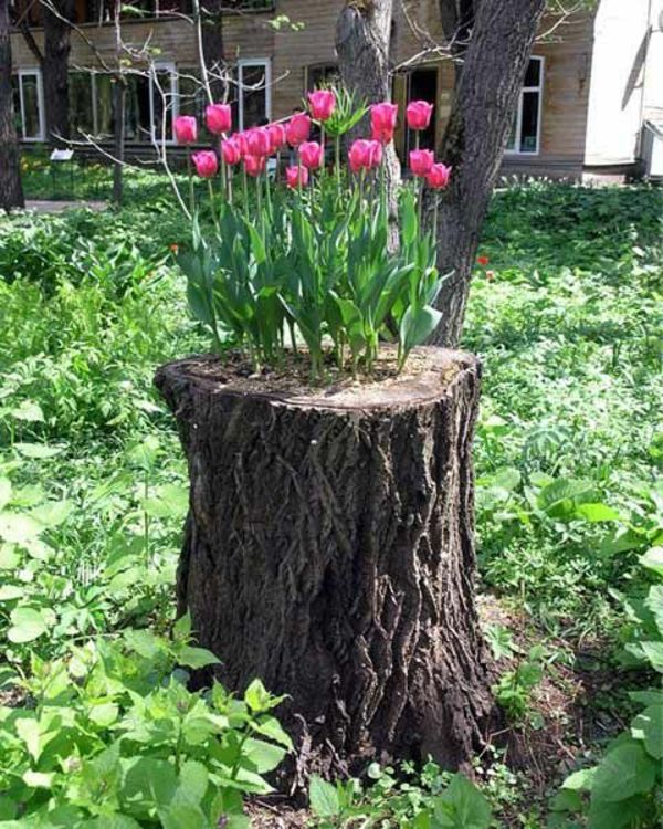 Tronco con i tulipani-the-giardino-decorazione idea