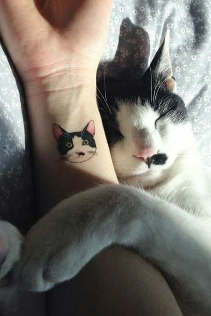Tatuiruotės-su-reiškia-the-PET-taip-kaip-kas