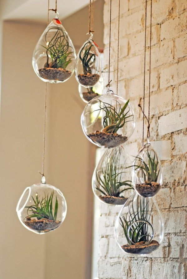 Terrarium self-build-hanging-plantenwereld