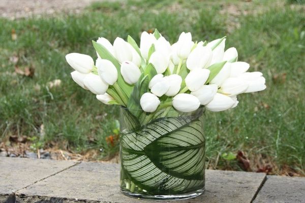 Borddekorasjon-med-hvitt-tulipan
