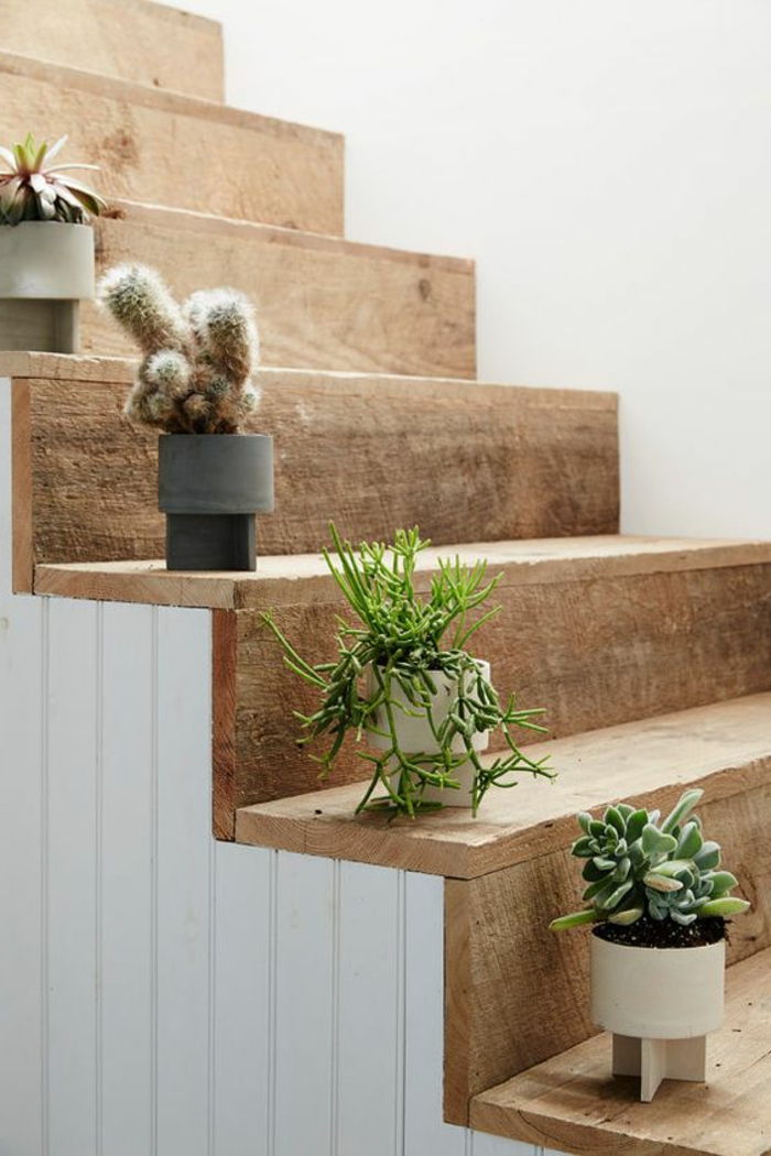 Skutočné drevené obloženie schodisko kaktusové dekorácie