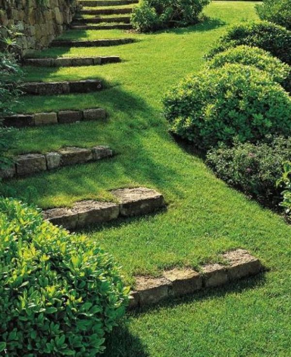 Laiptų su žolės-kūrybinė sodo dizainas