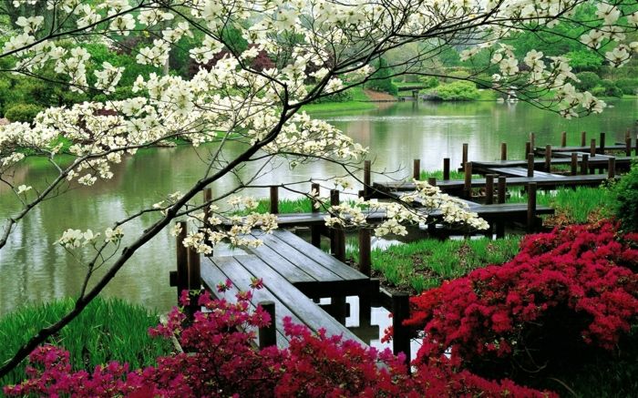 Washington Park Záhrada v japonskom štýle kvety Lake