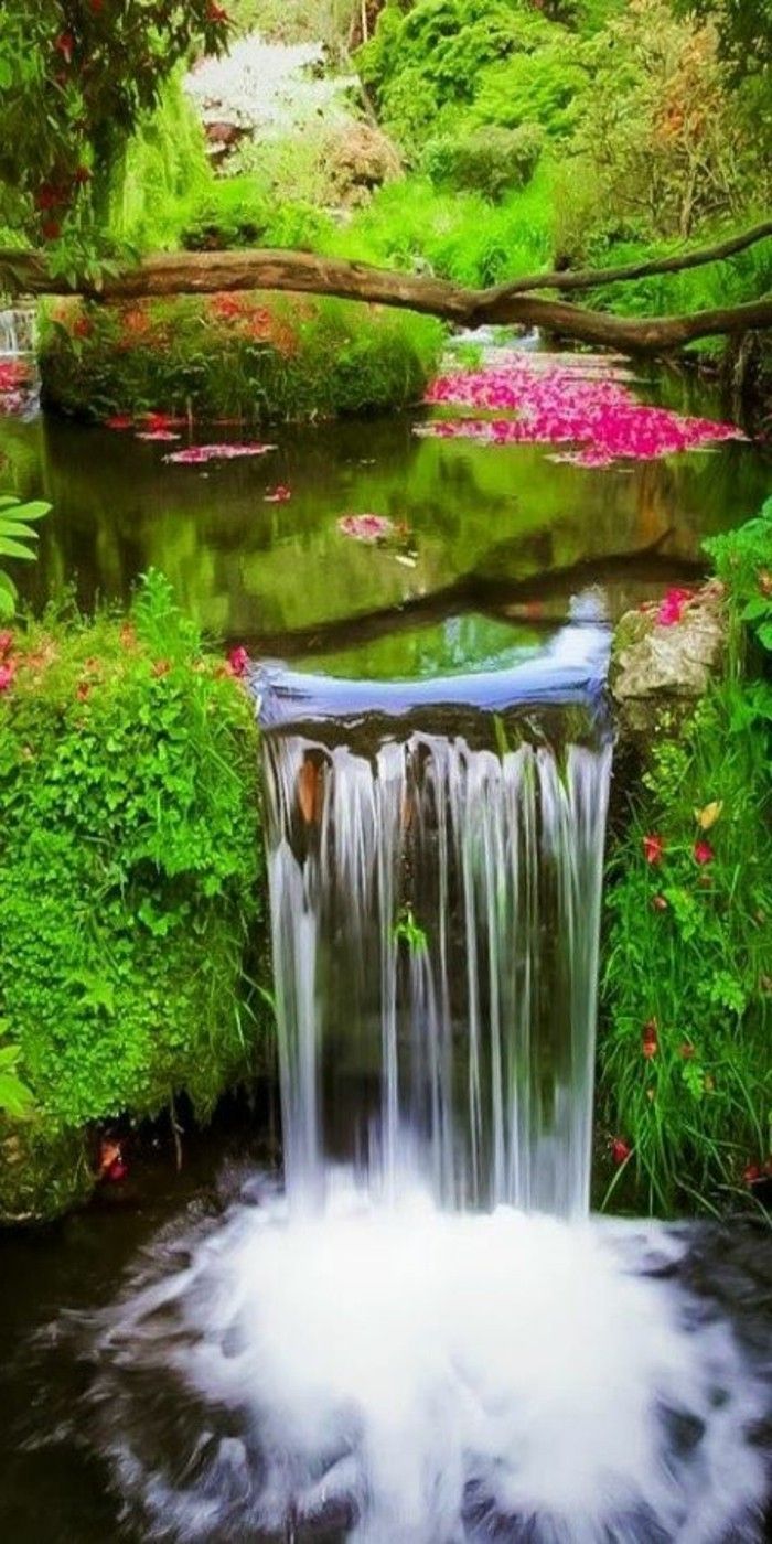 Wodospad zdjęcia-z-kwiaty-pływać