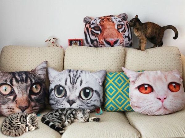 Butas Dizaino idėjos pagalvės-cat