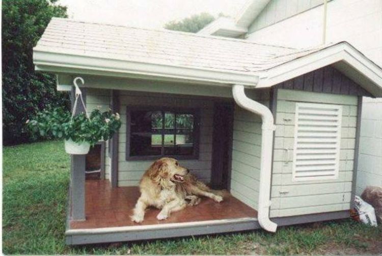 simple-dog-house-elegantné-chic-s-verandou-šľachtického stavu-in-the-záhradné