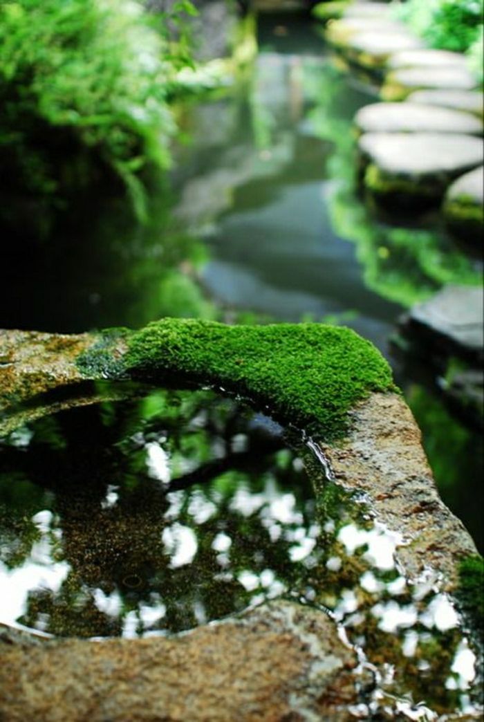 Zen záhradné fontána mach