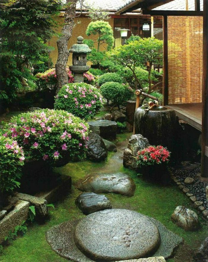 Zen Garden v japonskom exotické kríky kamene