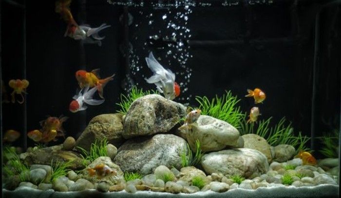 akvarium-anordning-aqarium-deco-akvarium-för-fisk-skräddarsy-stones-