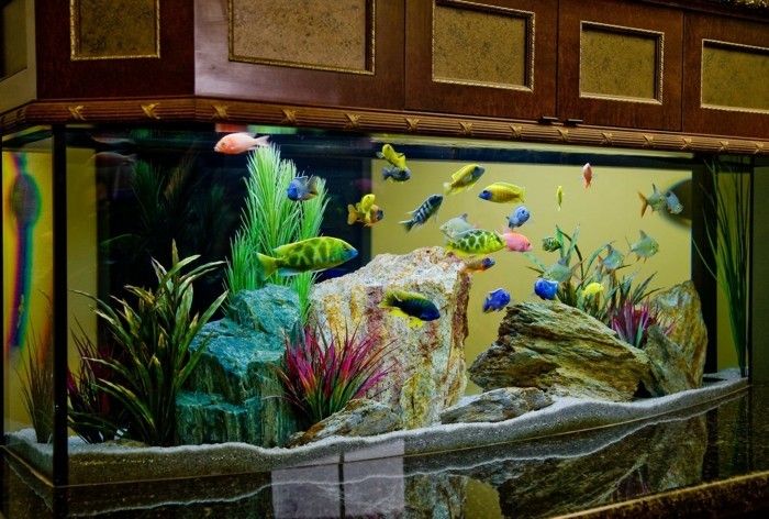 akvarium-enhets stora och fina akvarium-steindeko-in-akvarium fisk-in-akvarium