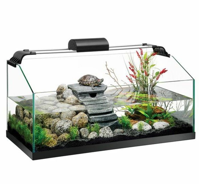 akvarium-för-sköldpaddor vatten växt stenar-Schildkröte-clean-vatten-steinedeko akvarium-enhet