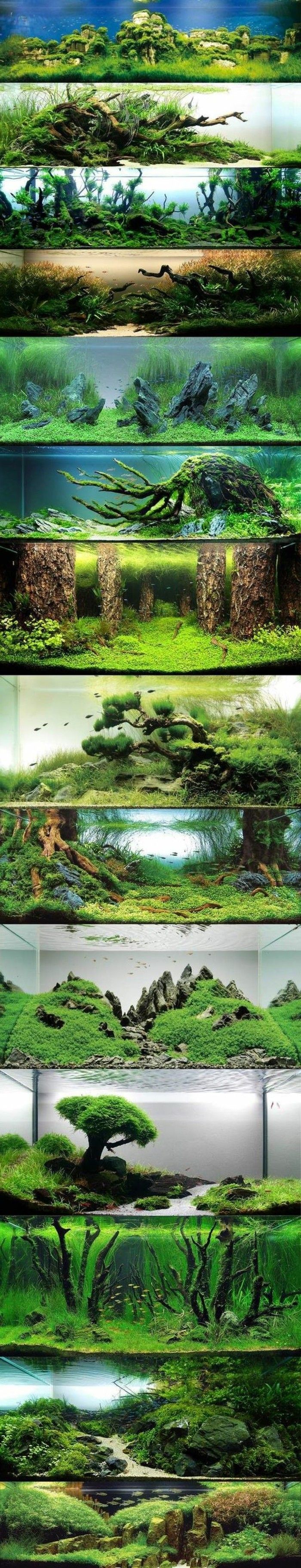 akvarium-Design-bäst-idéer-fotokollage-världen-med-vatten-sjögräs