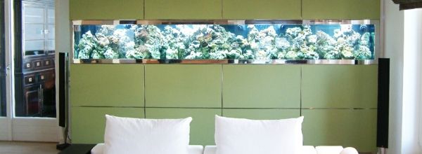 akvariumrumsdelare bakom en vit säng - grön färg på väggen