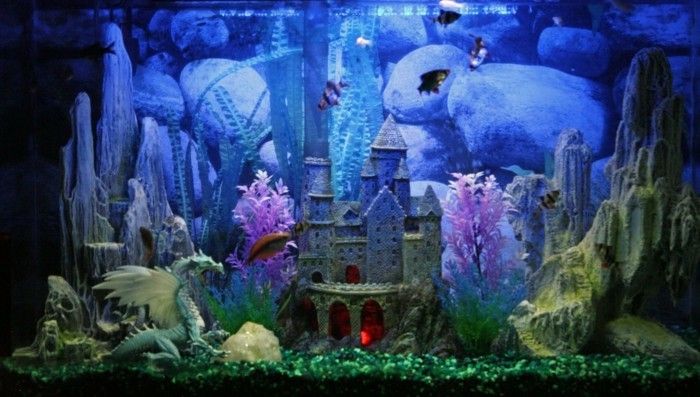 akvarium-slutna akvarium-deco-dragon-stenar-little-exotiska fisk akvarium-set
