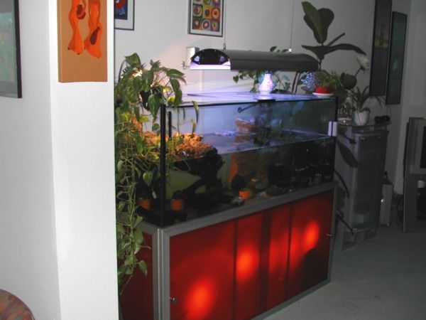 akváriová kabinet nový model červené svetlo a zelené rastliny