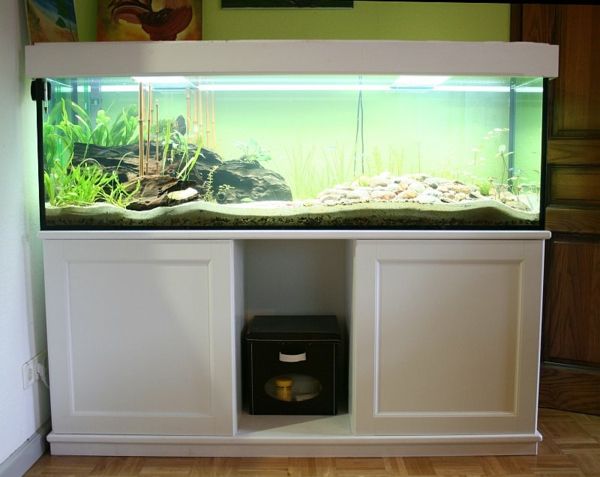 akvarij-kabinet-beli-design-moderni in eleganten videz