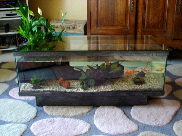 akvárium-table-on-koberec