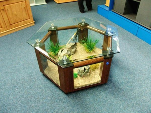 akvárium-table-around