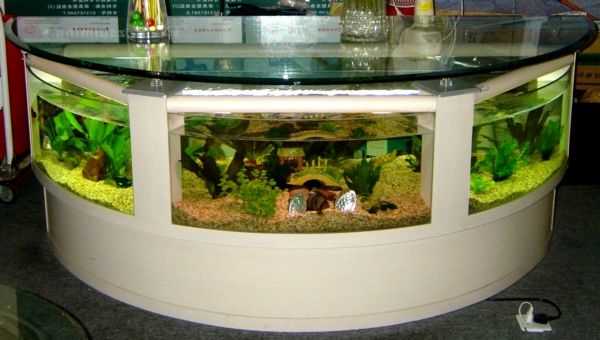 akvárium-table-žijúci zelená